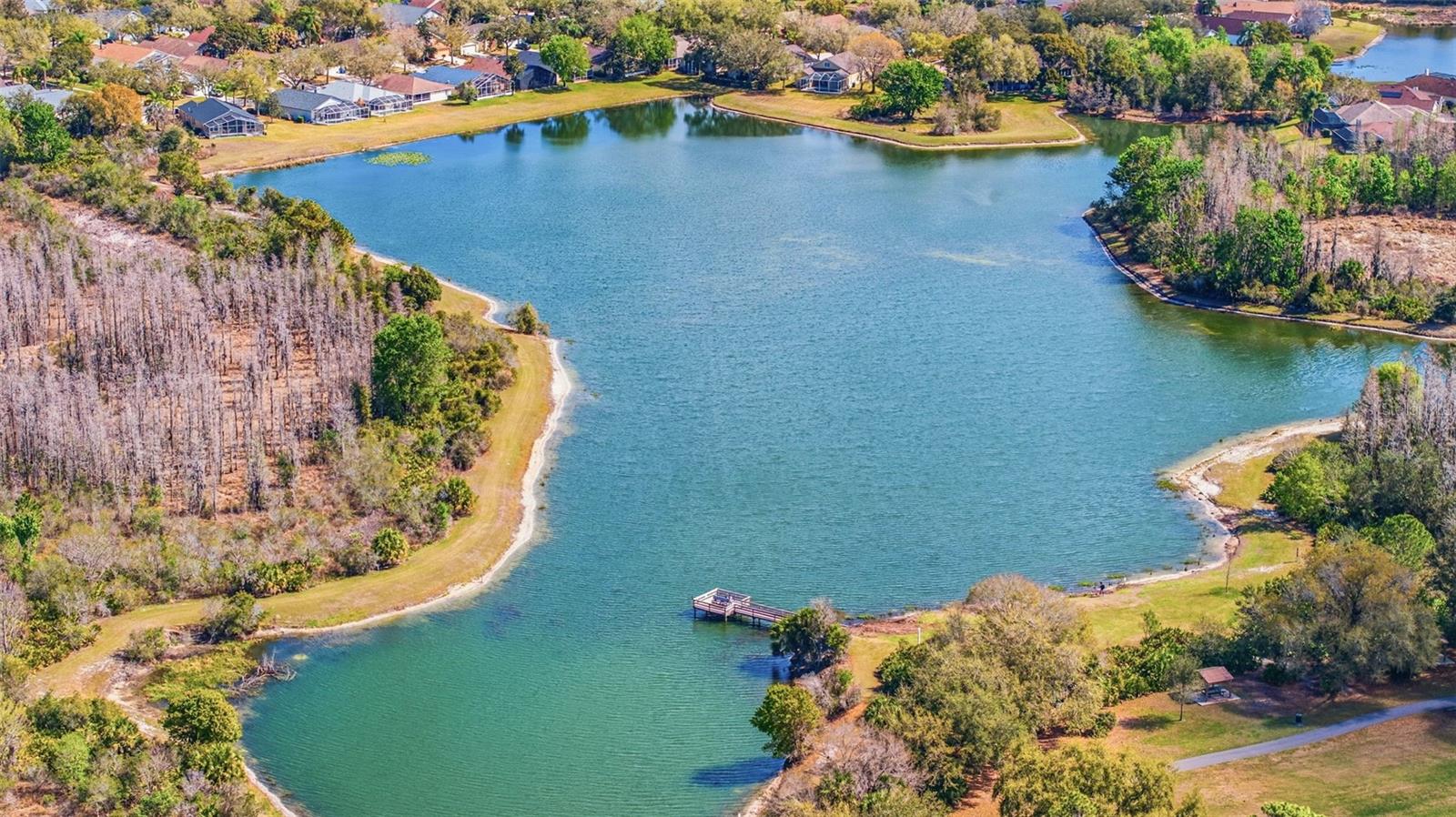 Listing photo id 37 for 17705 Esprit Drive