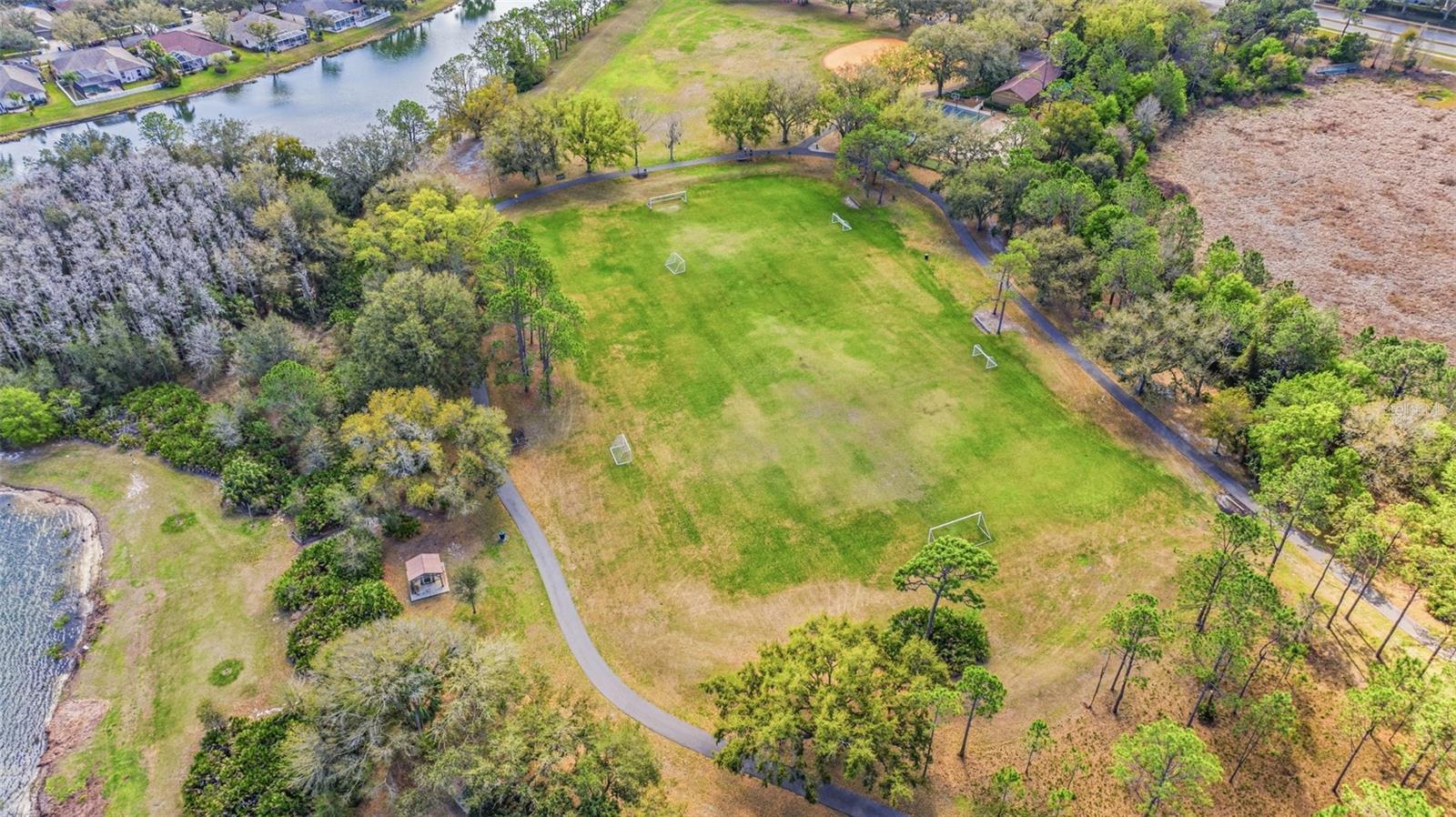 Listing photo id 38 for 17705 Esprit Drive