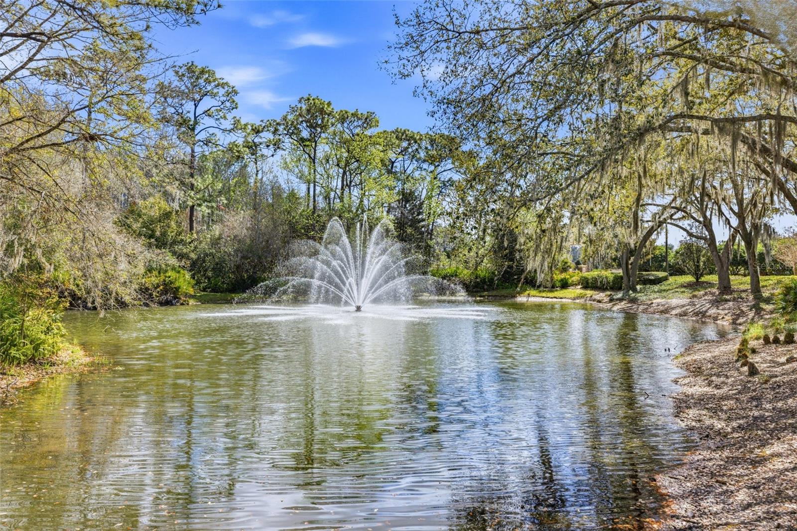 Listing photo id 40 for 17705 Esprit Drive