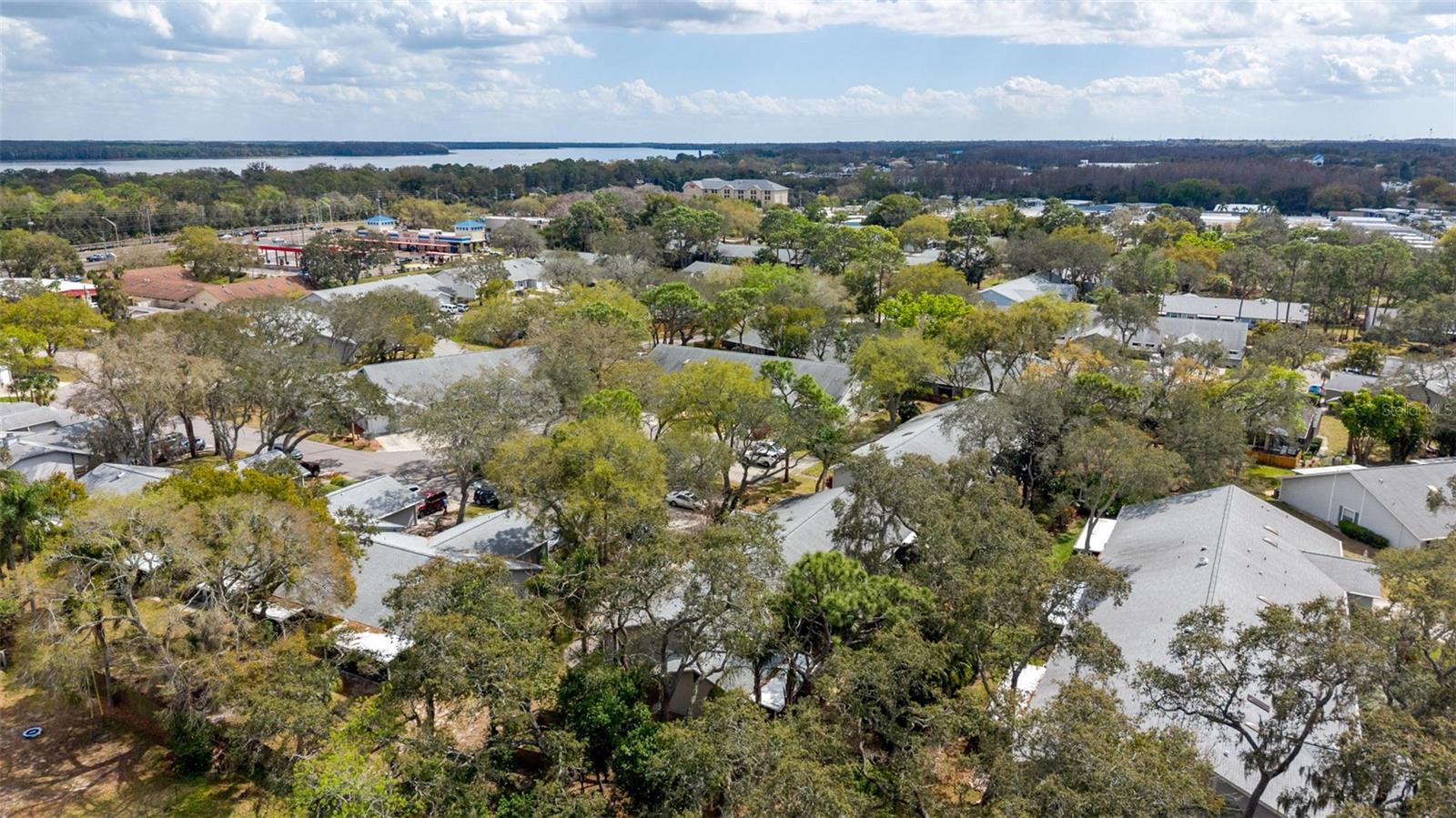 Image 29 of 33 For 39650 Us Highway 19 N 141