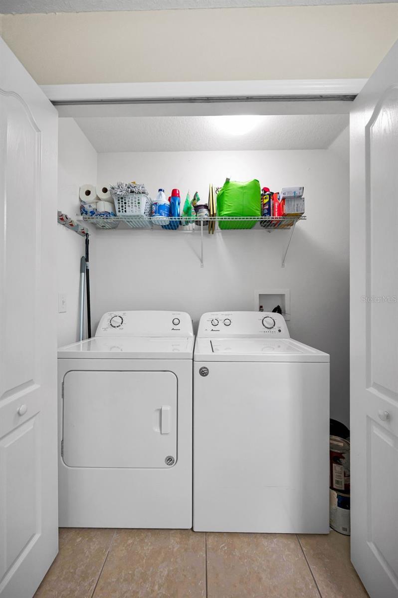 Image 19 of 41 For 9736 Trumpet Vine Loop