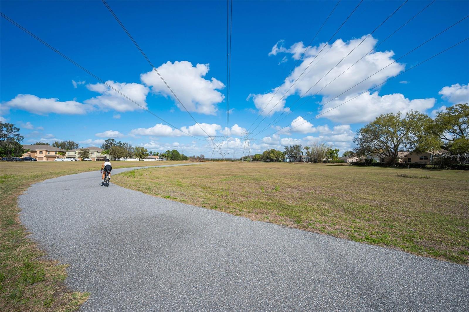 Image 36 of 41 For 9736 Trumpet Vine Loop