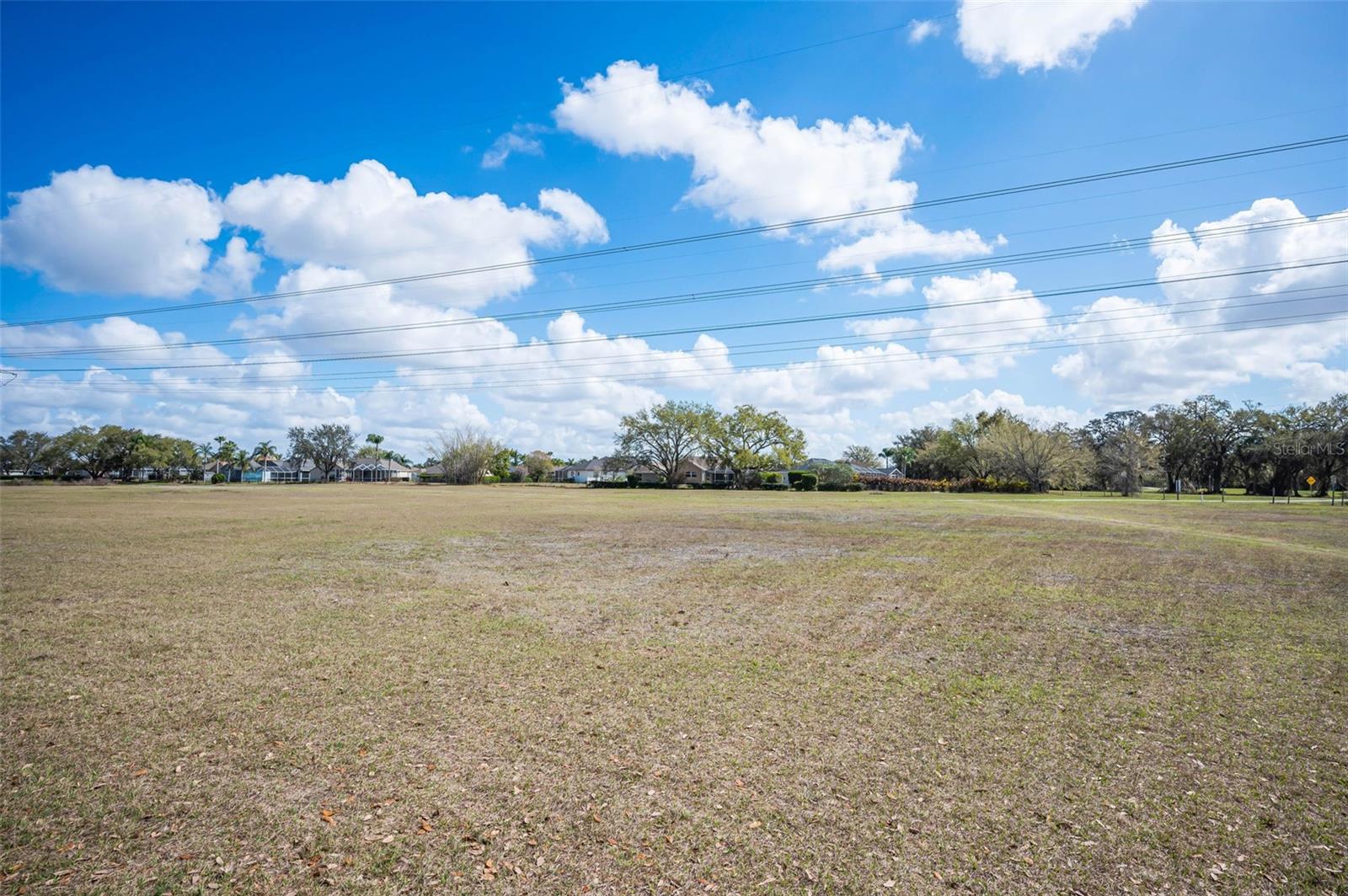 Image 37 of 41 For 9736 Trumpet Vine Loop