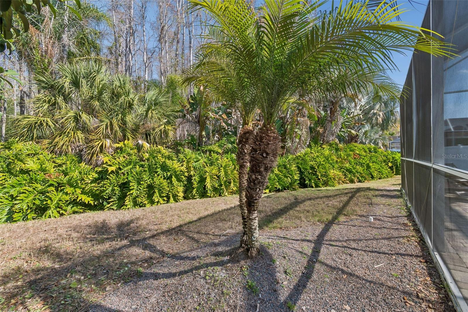 Image 57 of 62 For 7703 Northaven Place