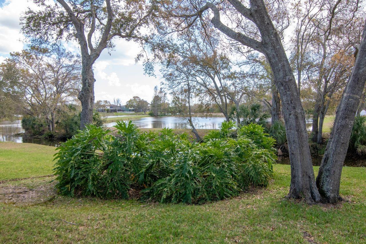 Image 69 of 69 For 1732 Split Fork Drive