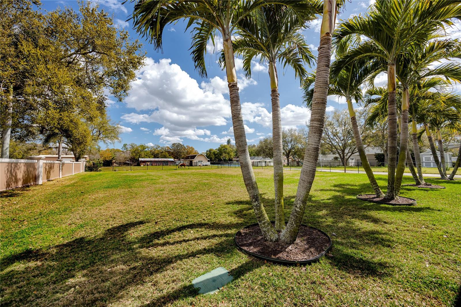 Image 49 of 62 For 11155 131st Street