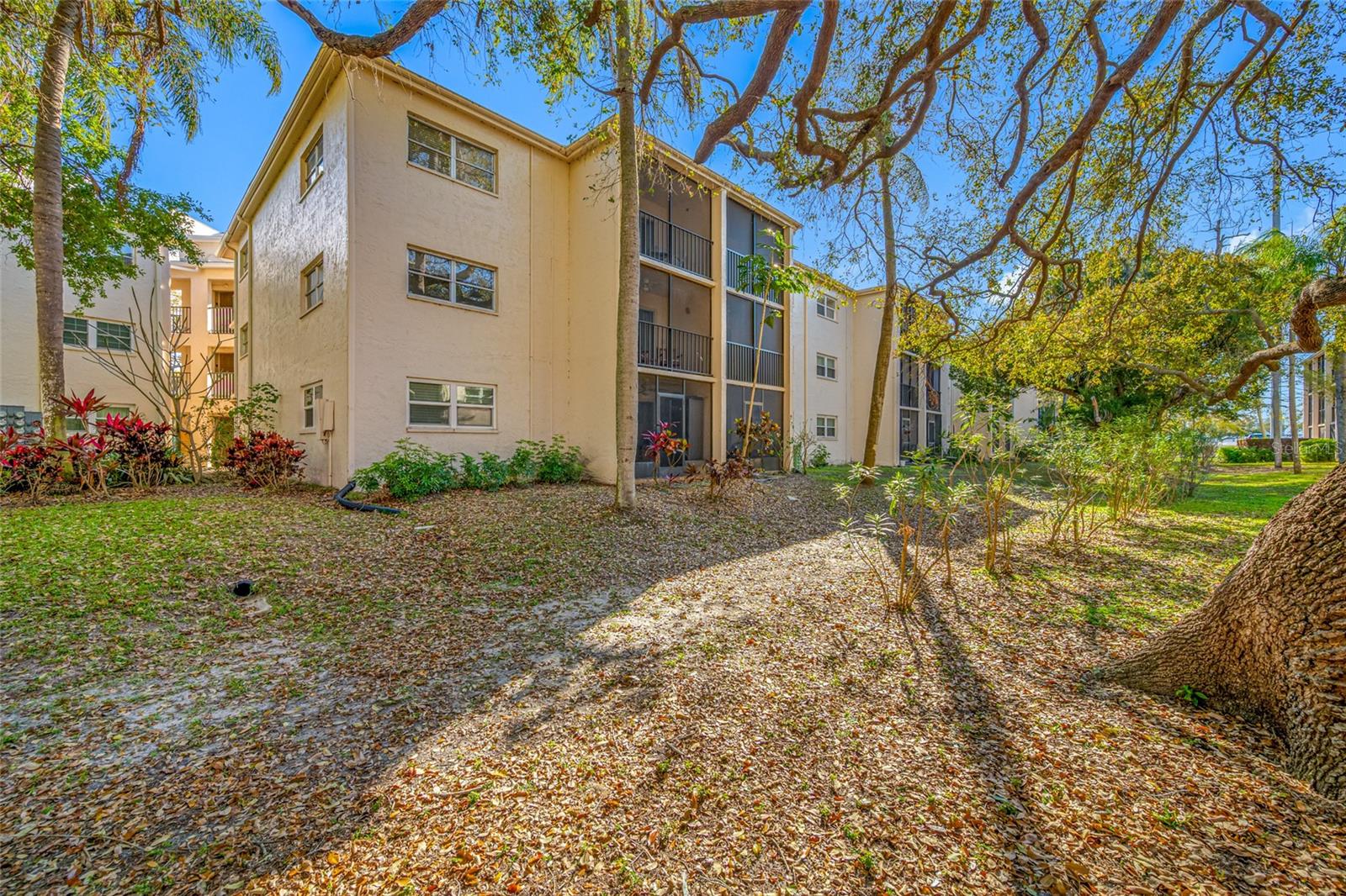 Image 21 of 38 For 820 Virginia Street 206