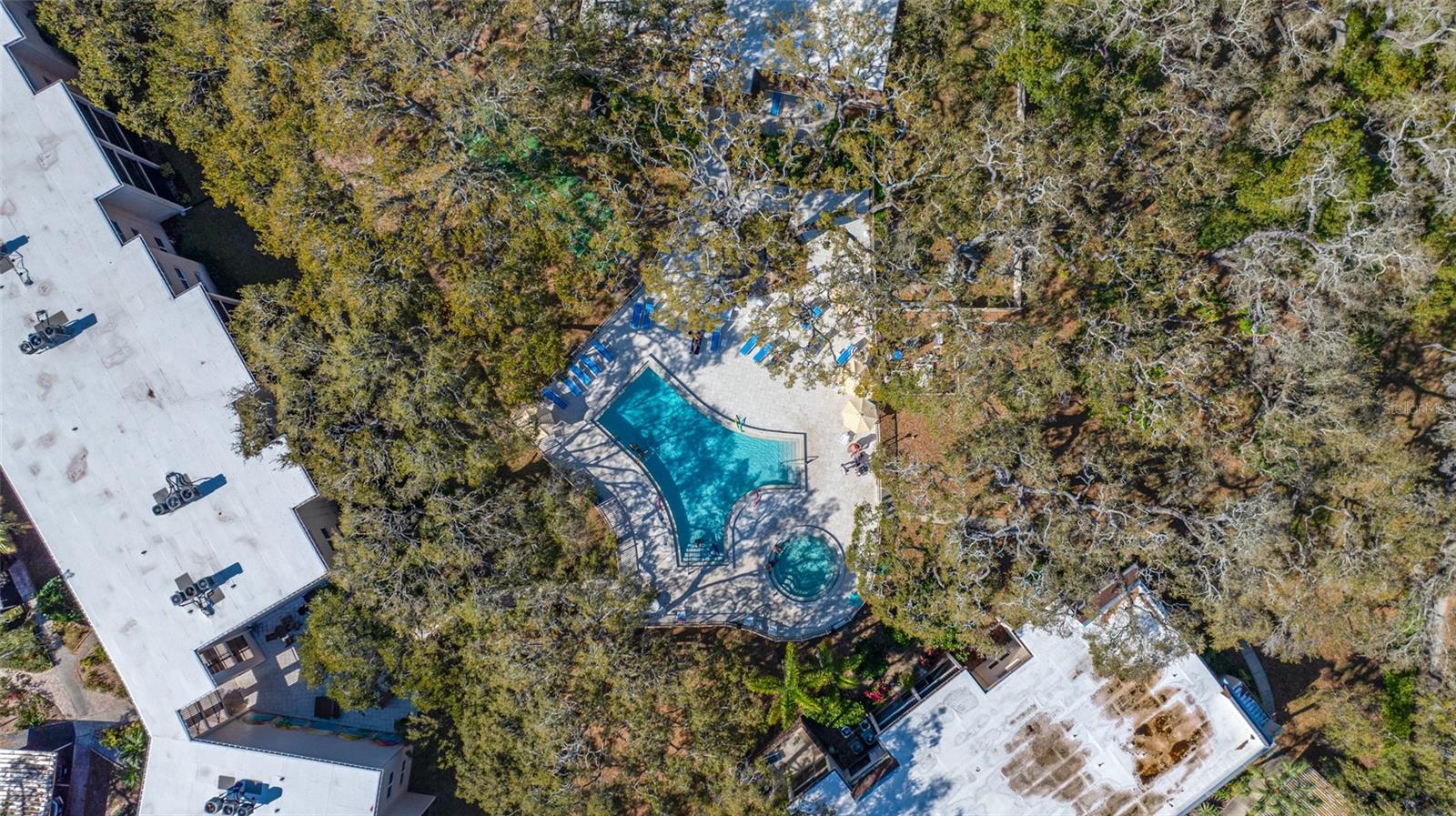 Image 3 of 38 For 820 Virginia Street 206