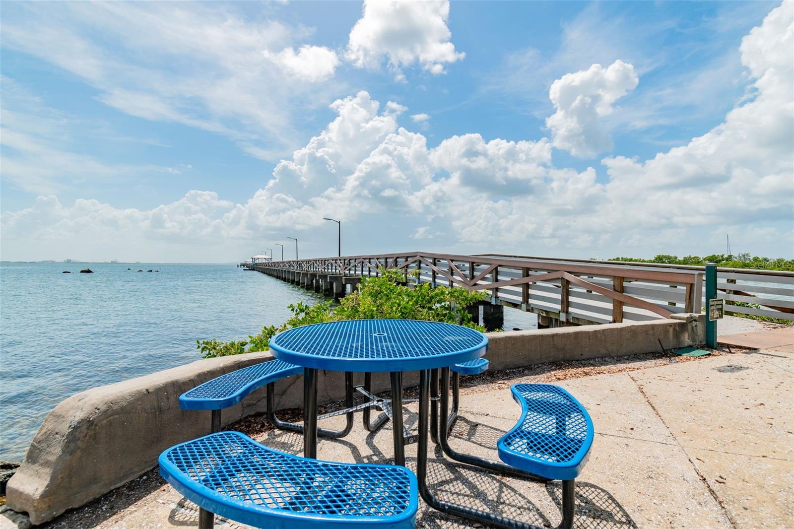 Image 58 of 62 For 3016 Ballast Point Boulevard