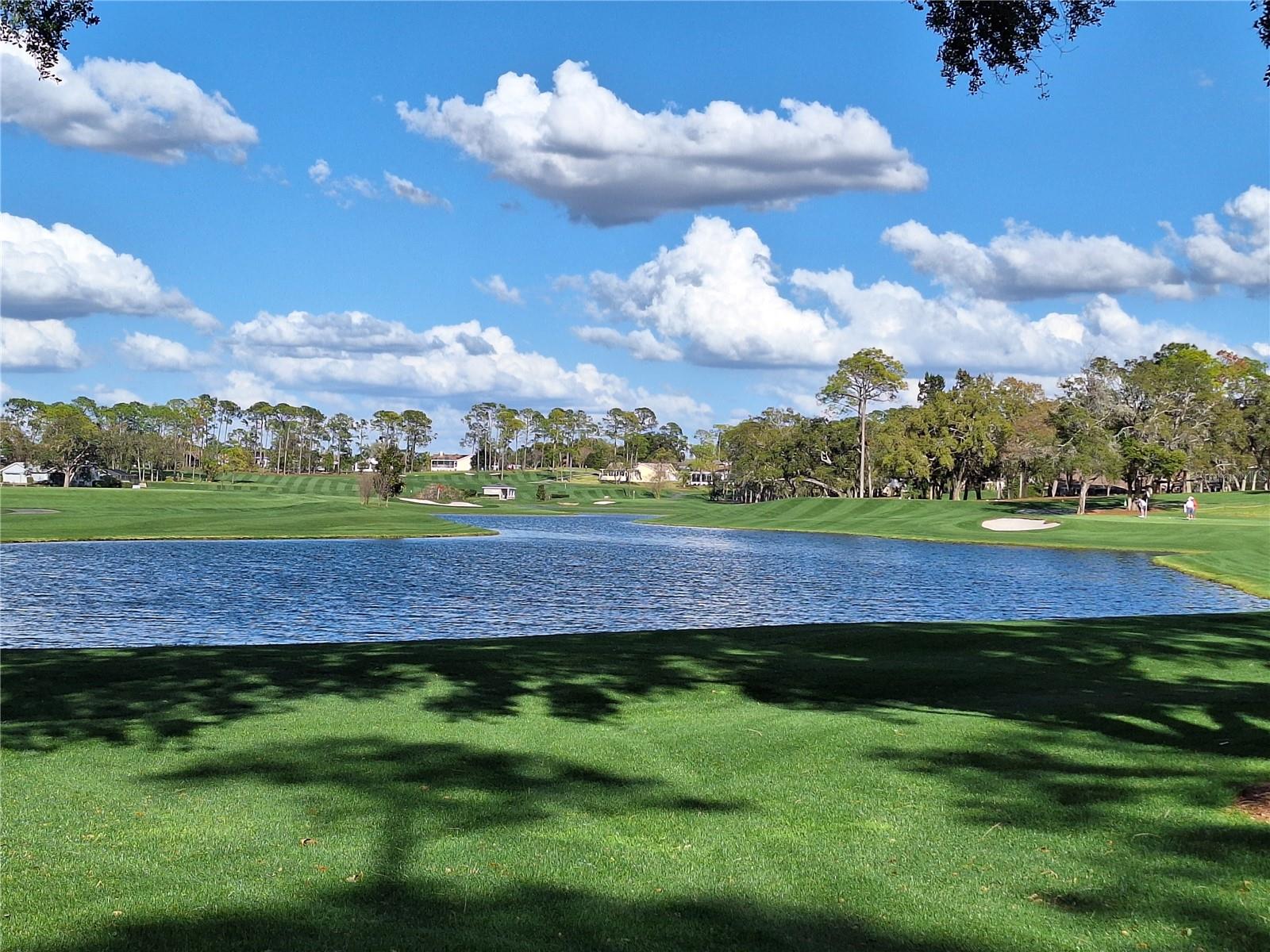 Image 38 of 39 For Address Not Provided