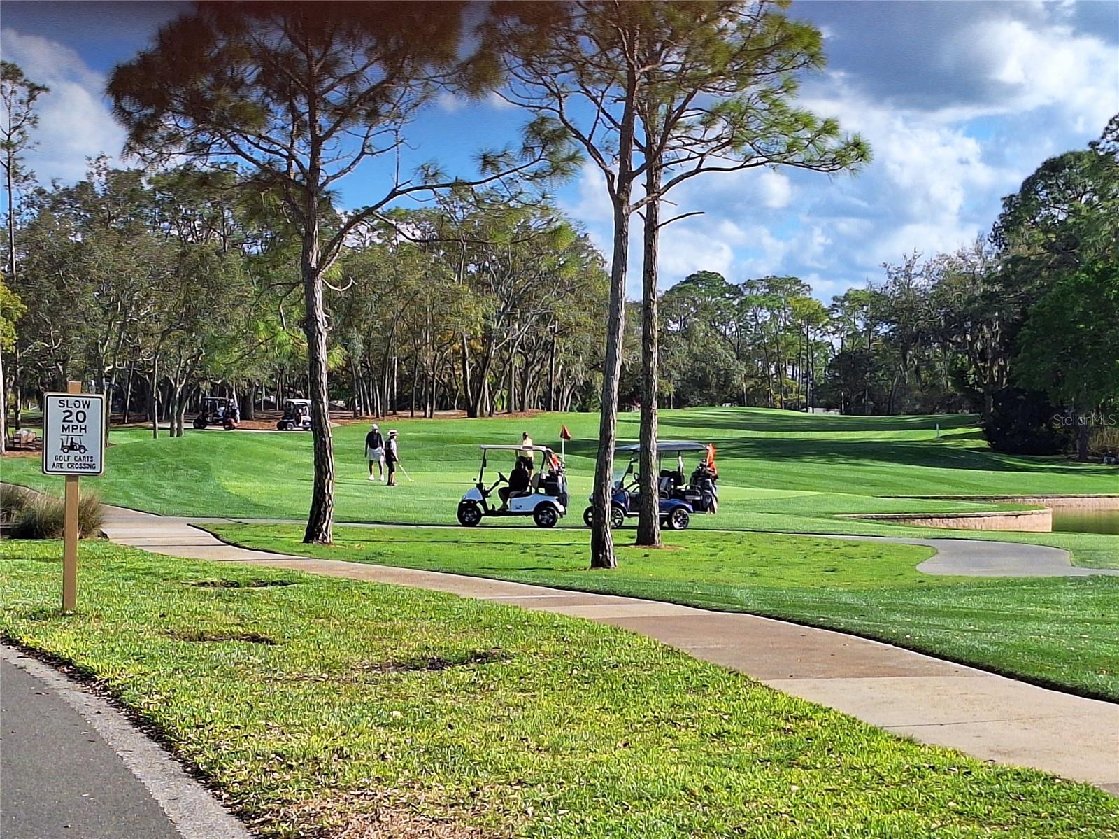 Image 39 of 39 For Address Not Provided