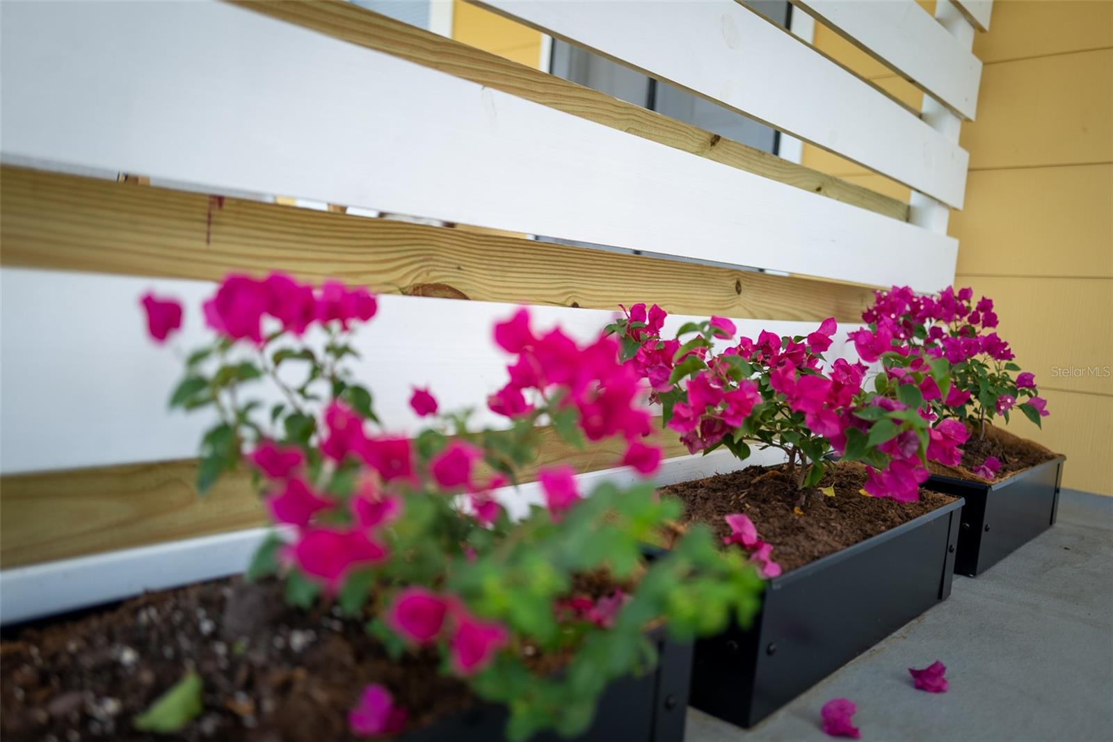 Image 20 of 22 For 127 17th Avenue S