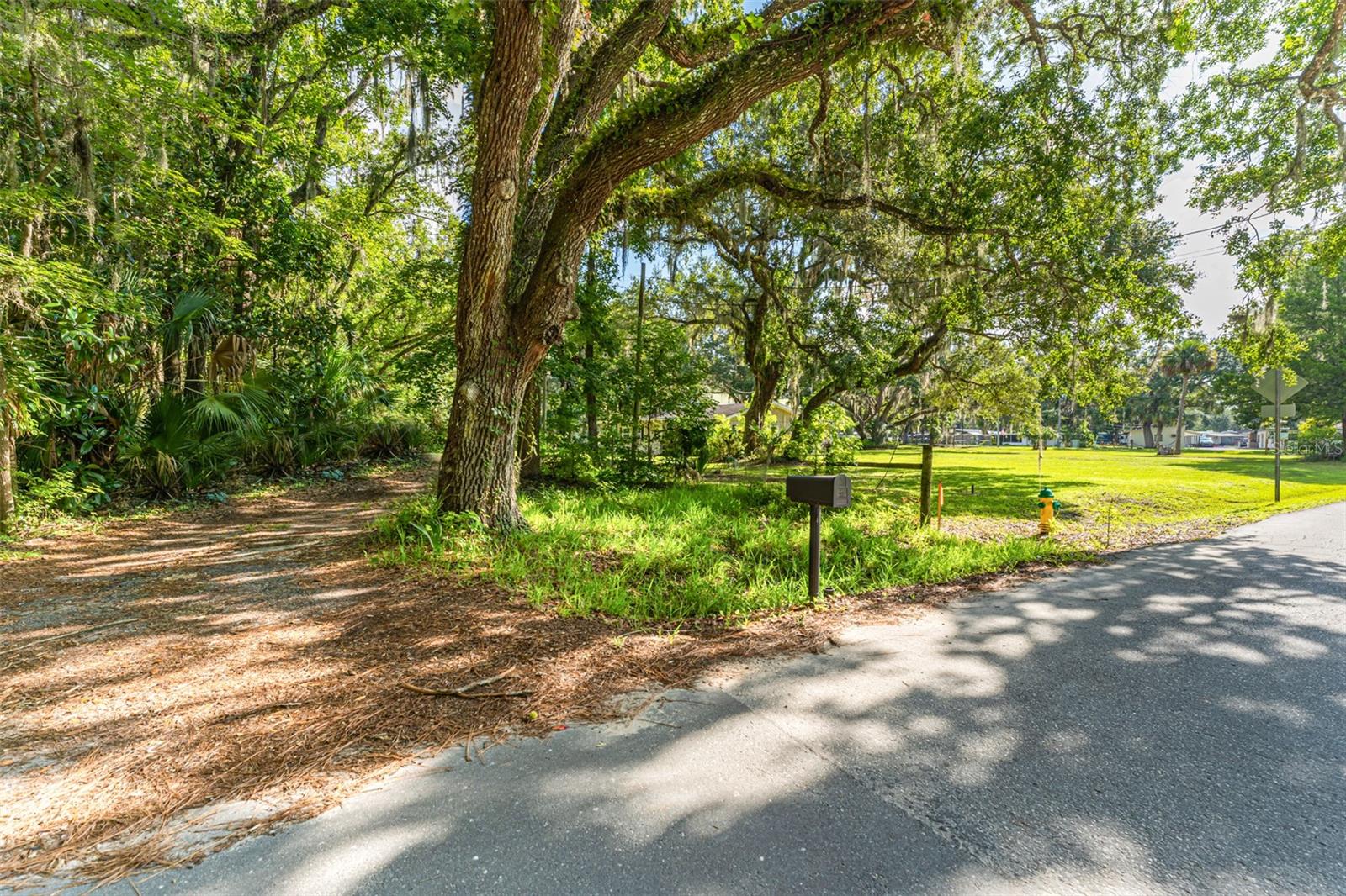 Image 38 of 46 For 8585 Miss Maggie Drive