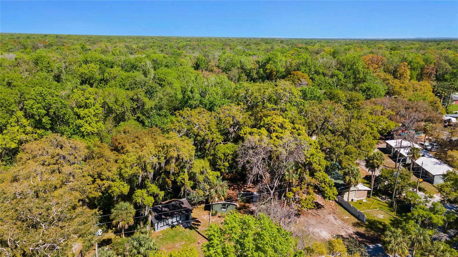 Image 30 of 42 For 8533 Miss Maggie Drive