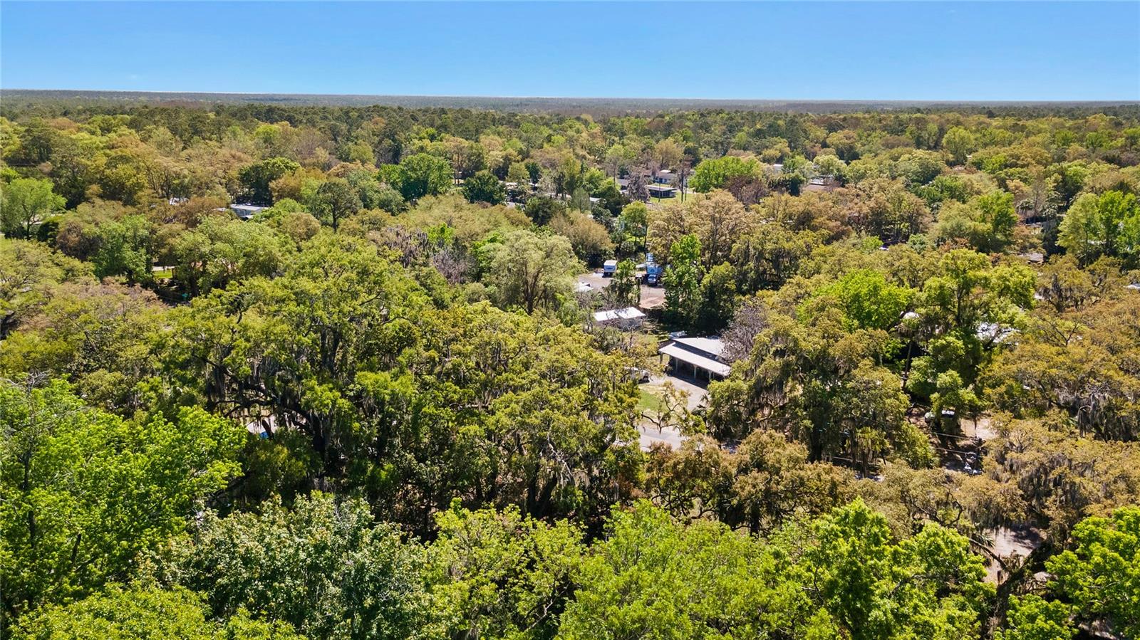 Image 32 of 42 For 8533 Miss Maggie Drive