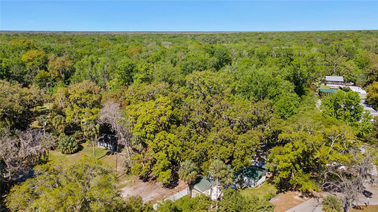 Image 33 of 42 For 8533 Miss Maggie Drive