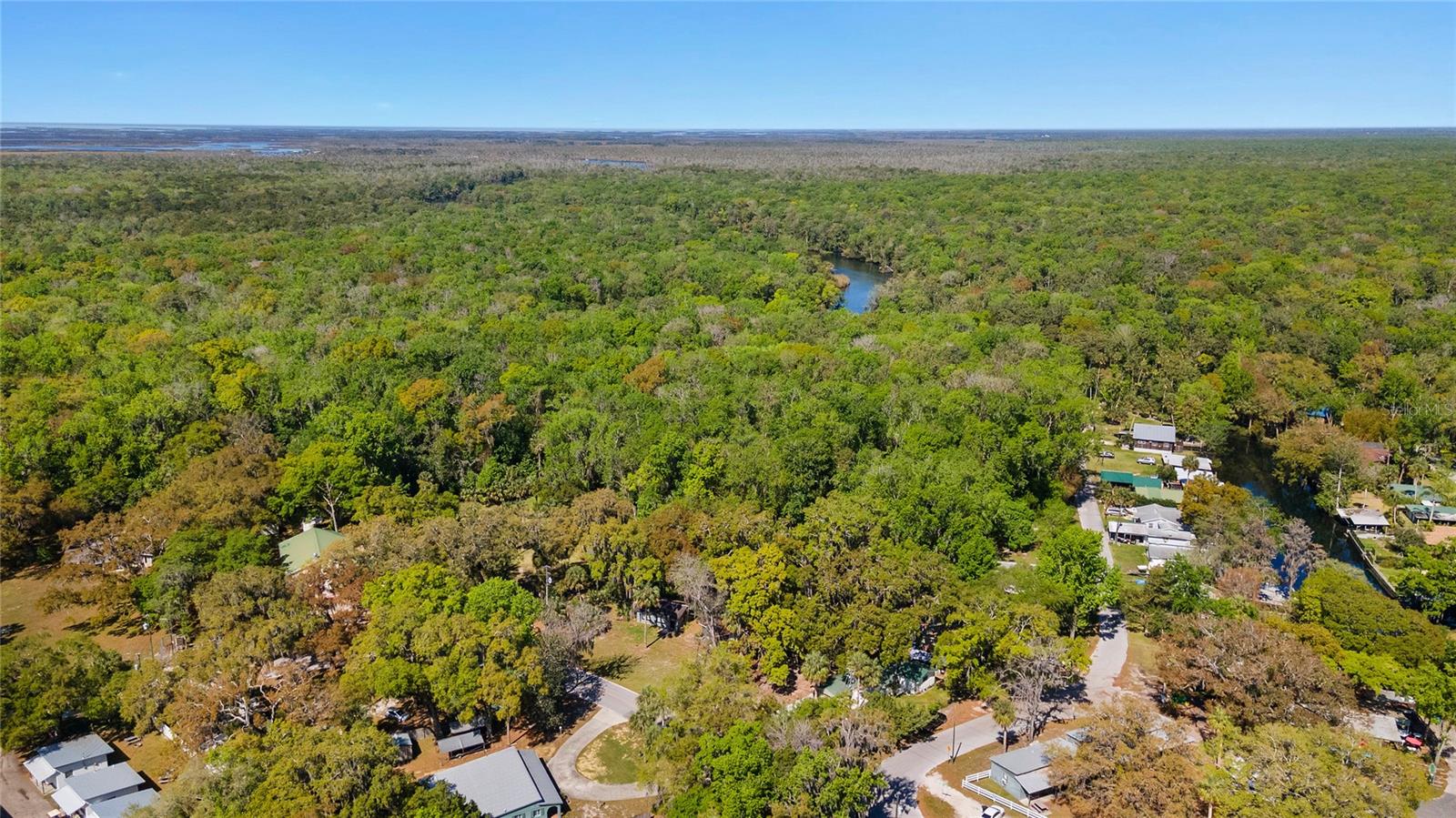 Image 36 of 42 For 8533 Miss Maggie Drive