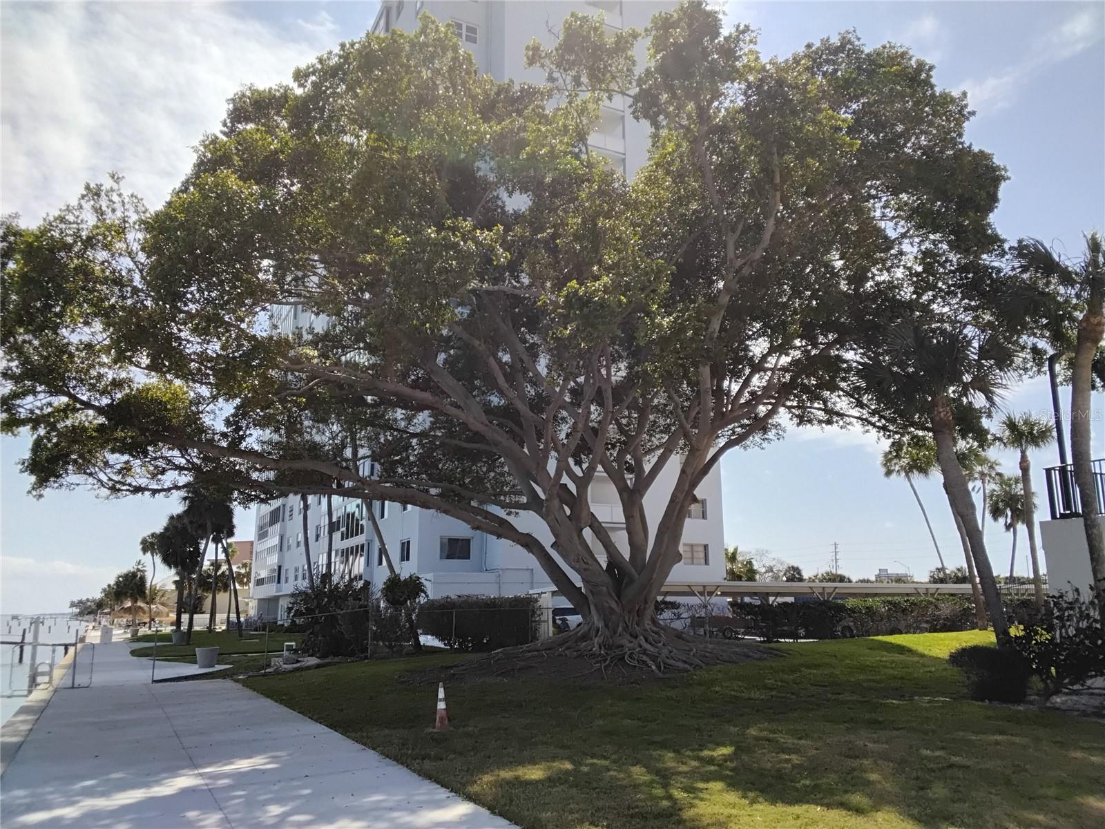 Image 10 of 54 For 7100 Sunshine Skyway Lane S 705