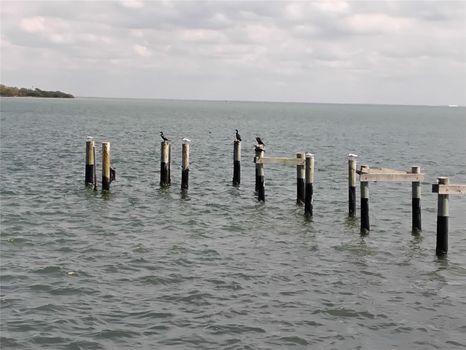 Image 9 of 54 For 7100 Sunshine Skyway Lane S 705