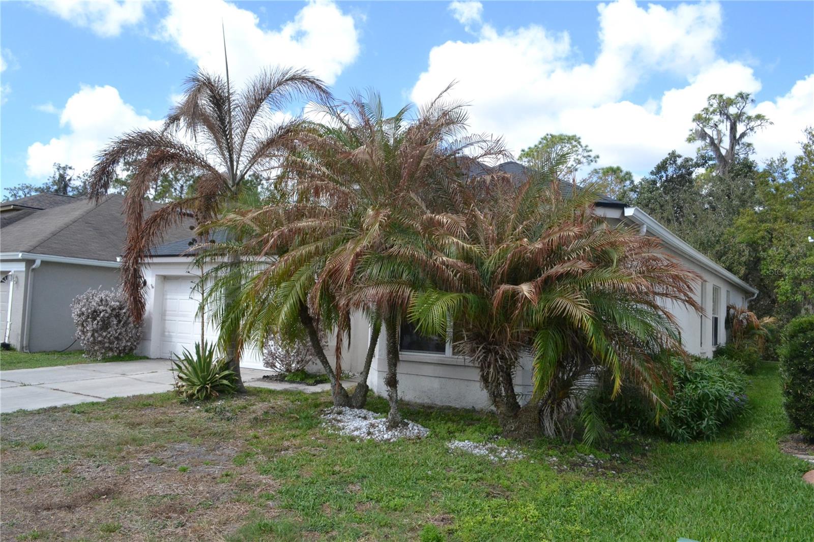 Image 3 of 32 For 27353 Edenfield Drive