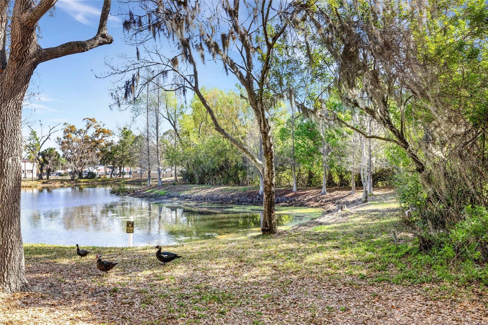 Image 48 of 64 For 9306 River Rock Lane