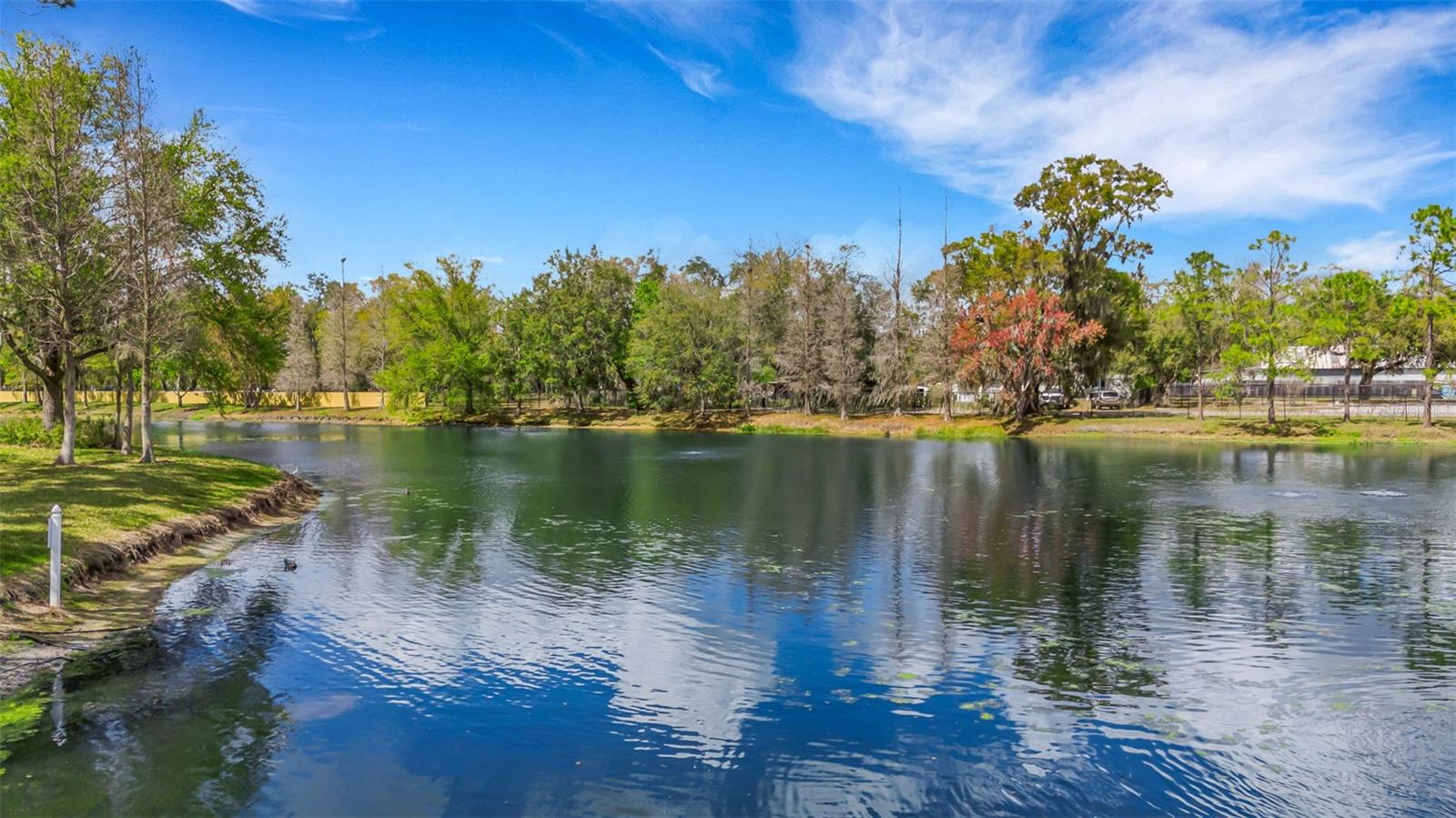 Image 50 of 64 For 9306 River Rock Lane