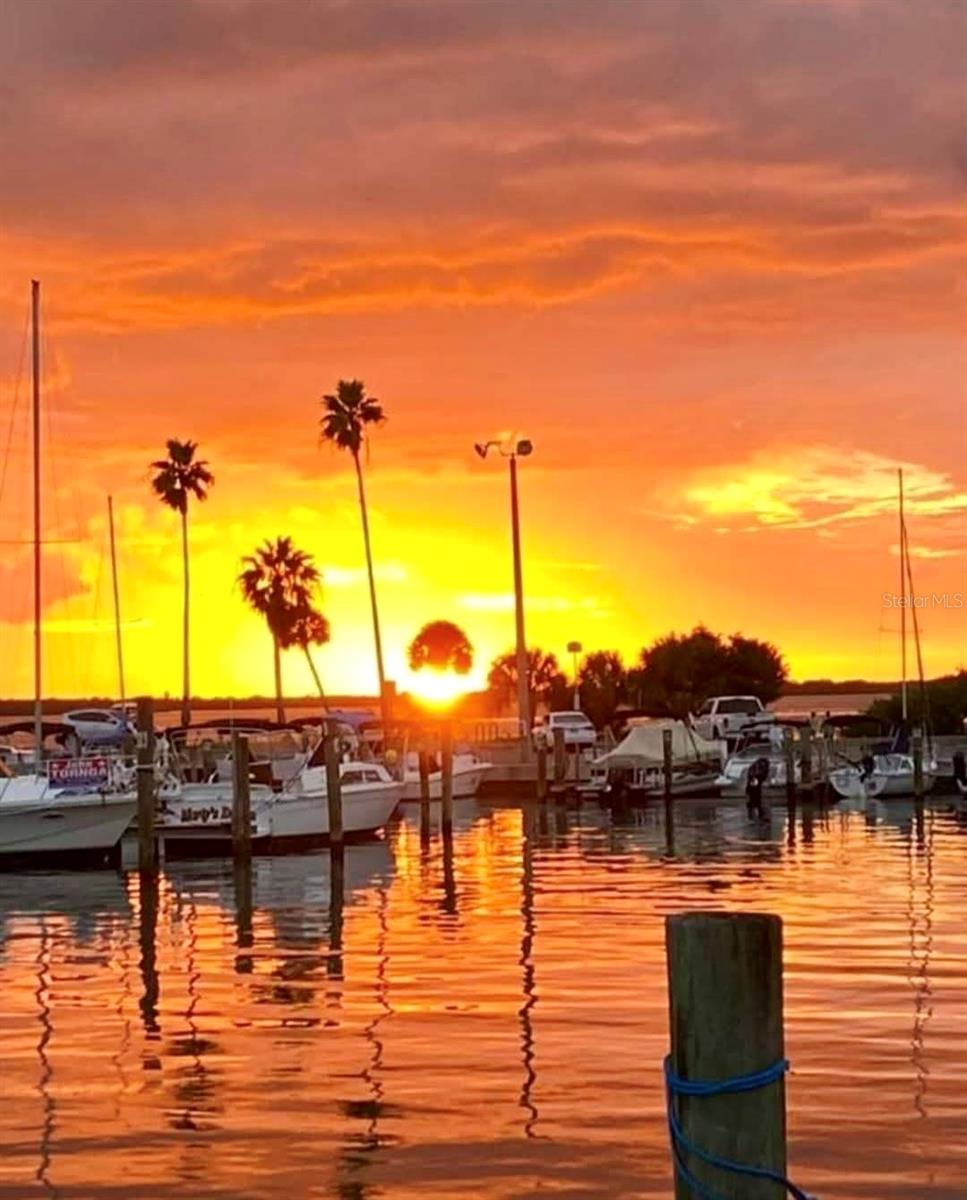 Image 43 of 44 For 448 Orangewood Drive