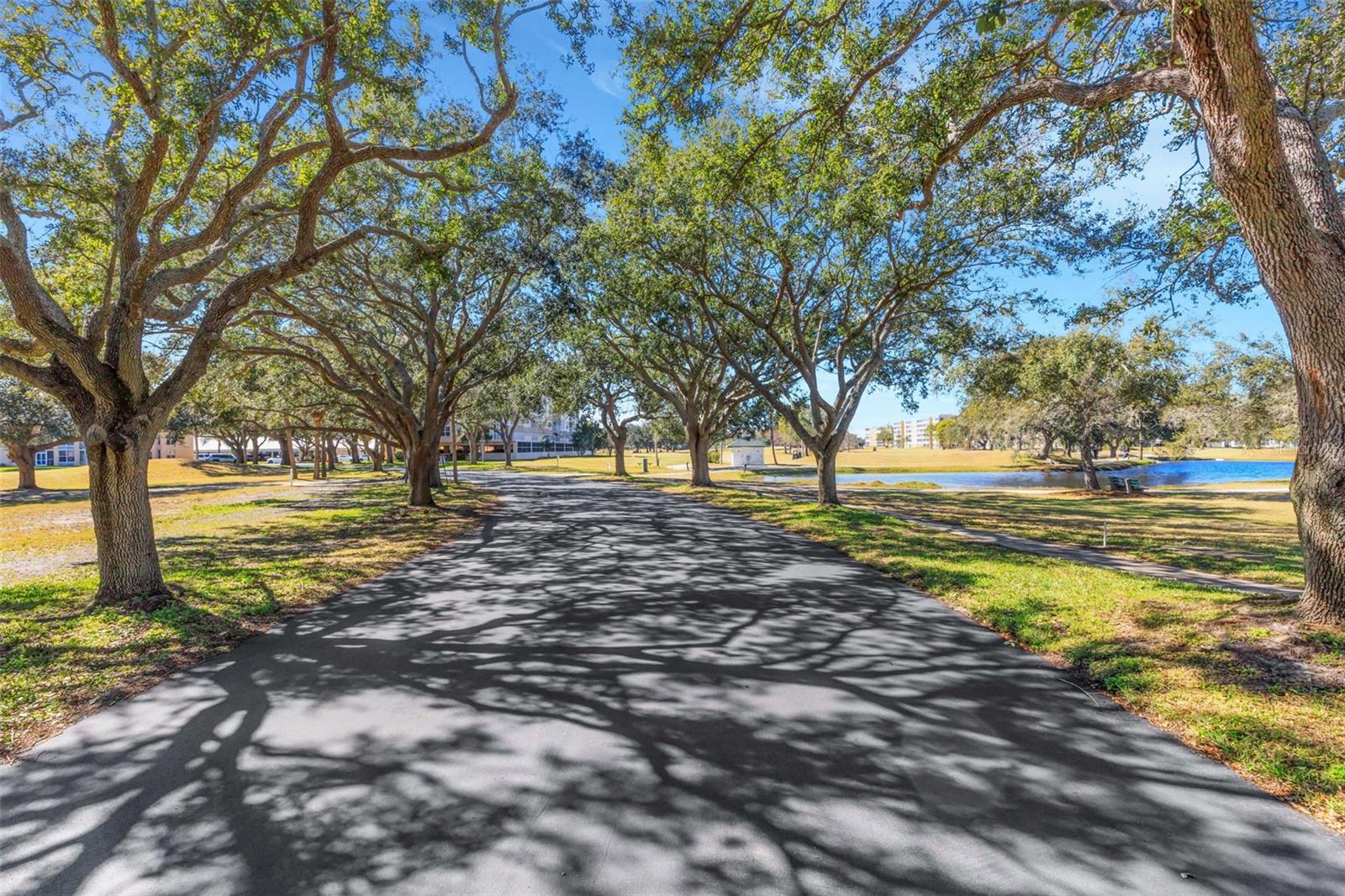 Image 50 of 58 For 4460 Fairways Boulevard 105