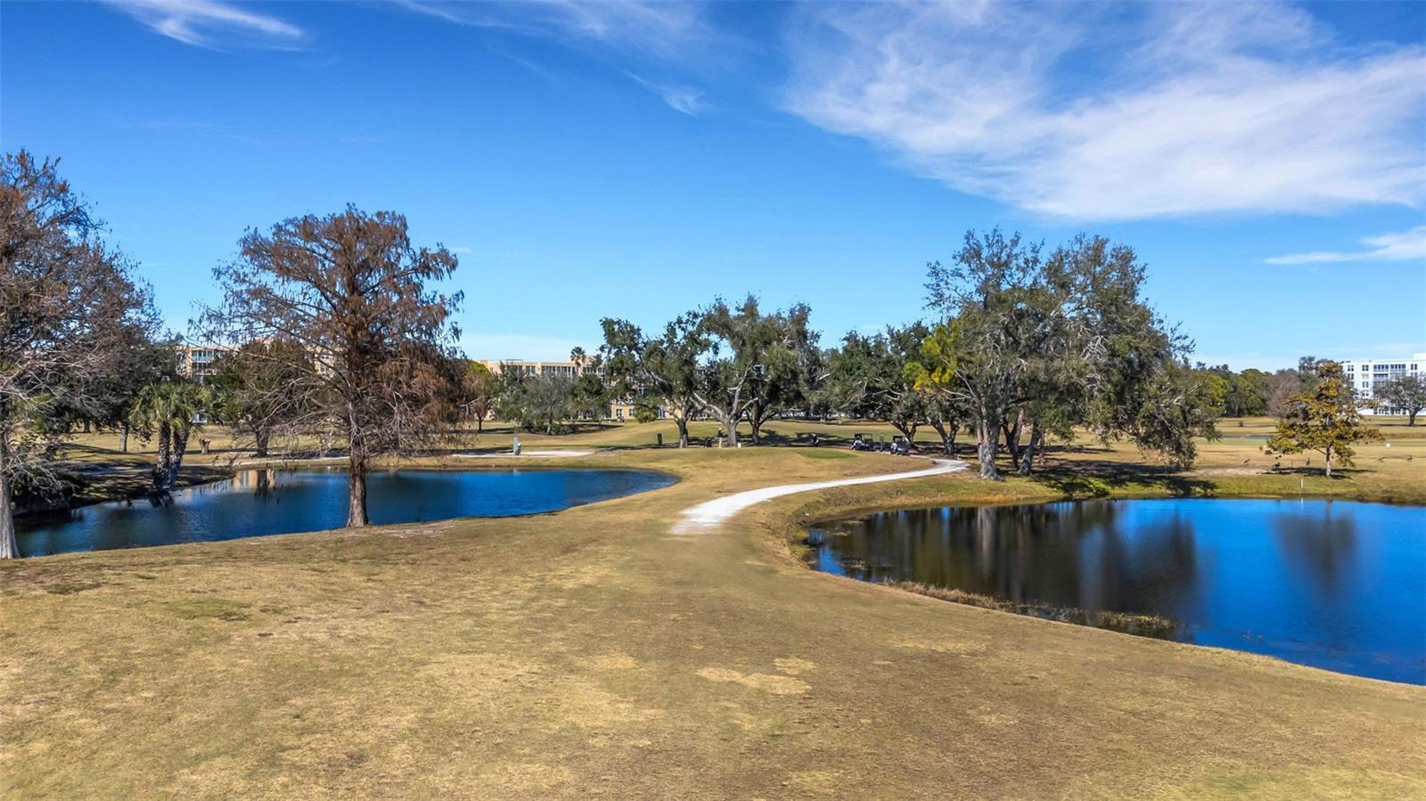 Image 57 of 58 For 4460 Fairways Boulevard 105