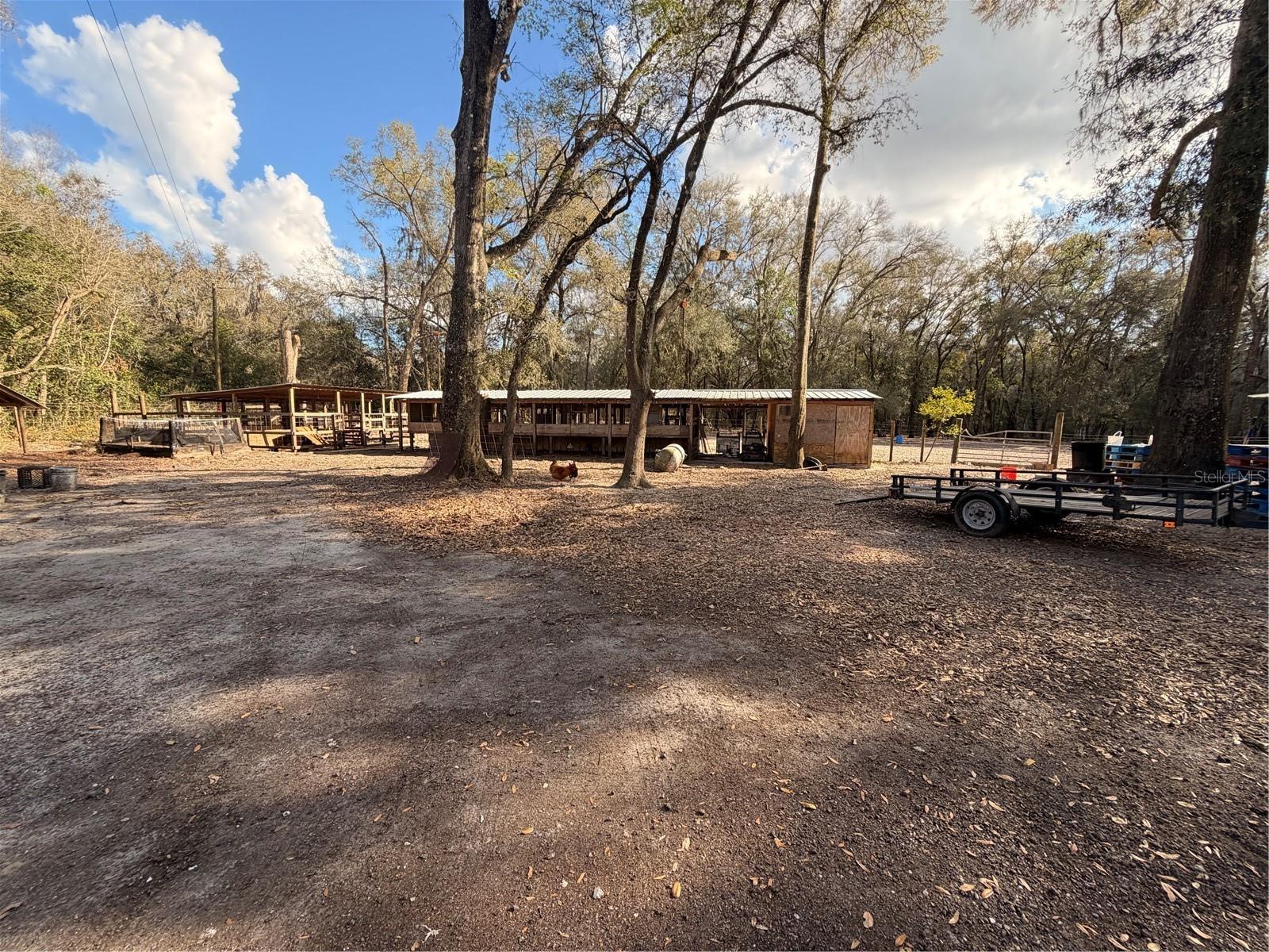 Listing photo id 47 for 25408 Oneal Road