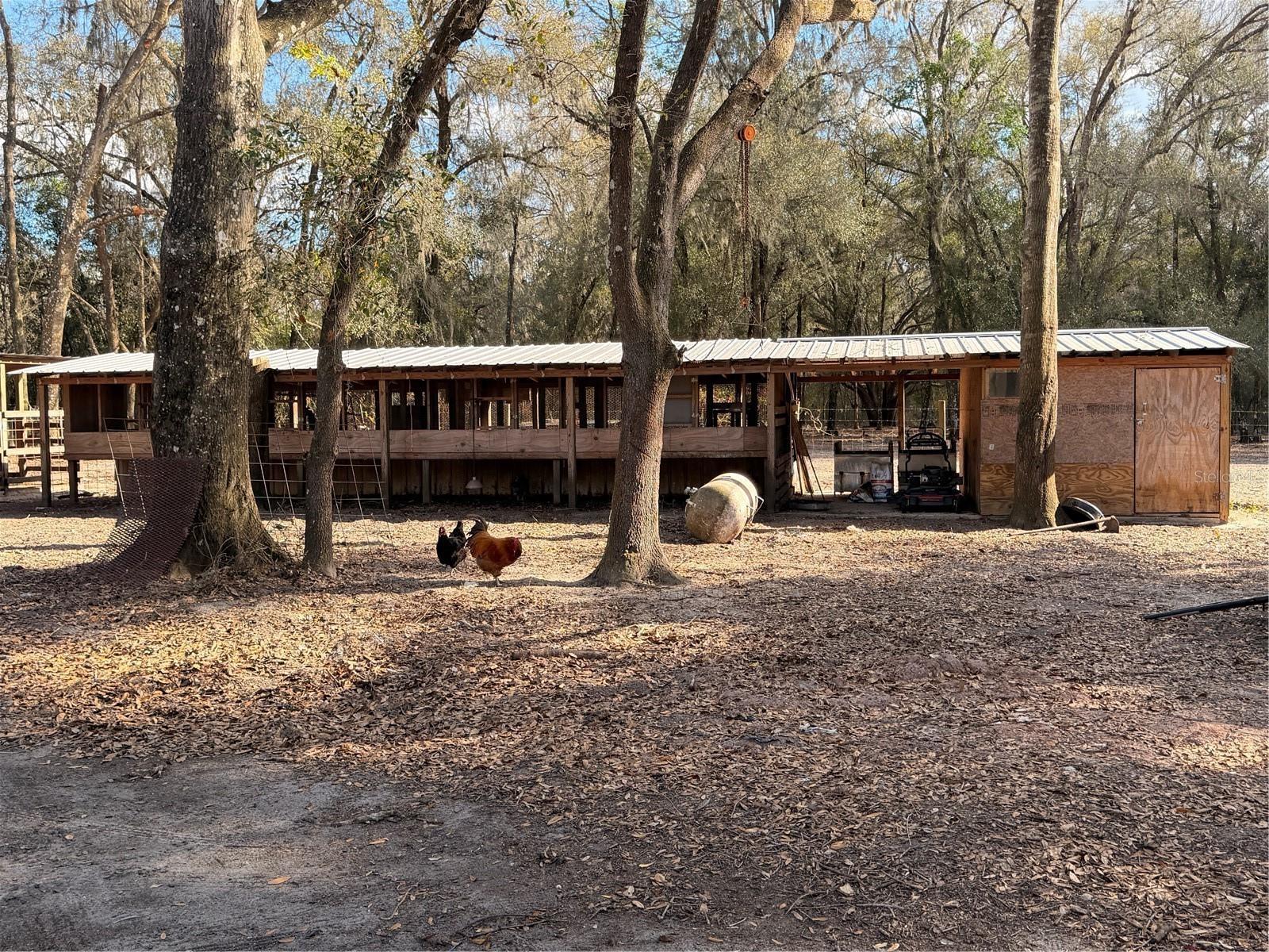 Listing photo id 48 for 25408 Oneal Road