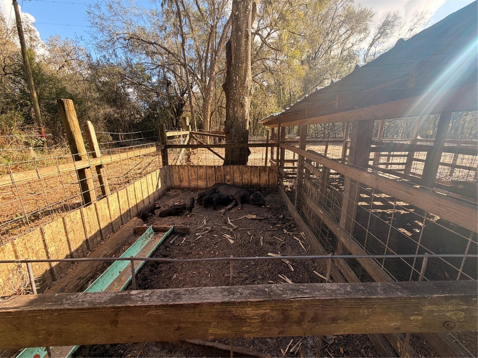 Listing photo id 52 for 25408 Oneal Road