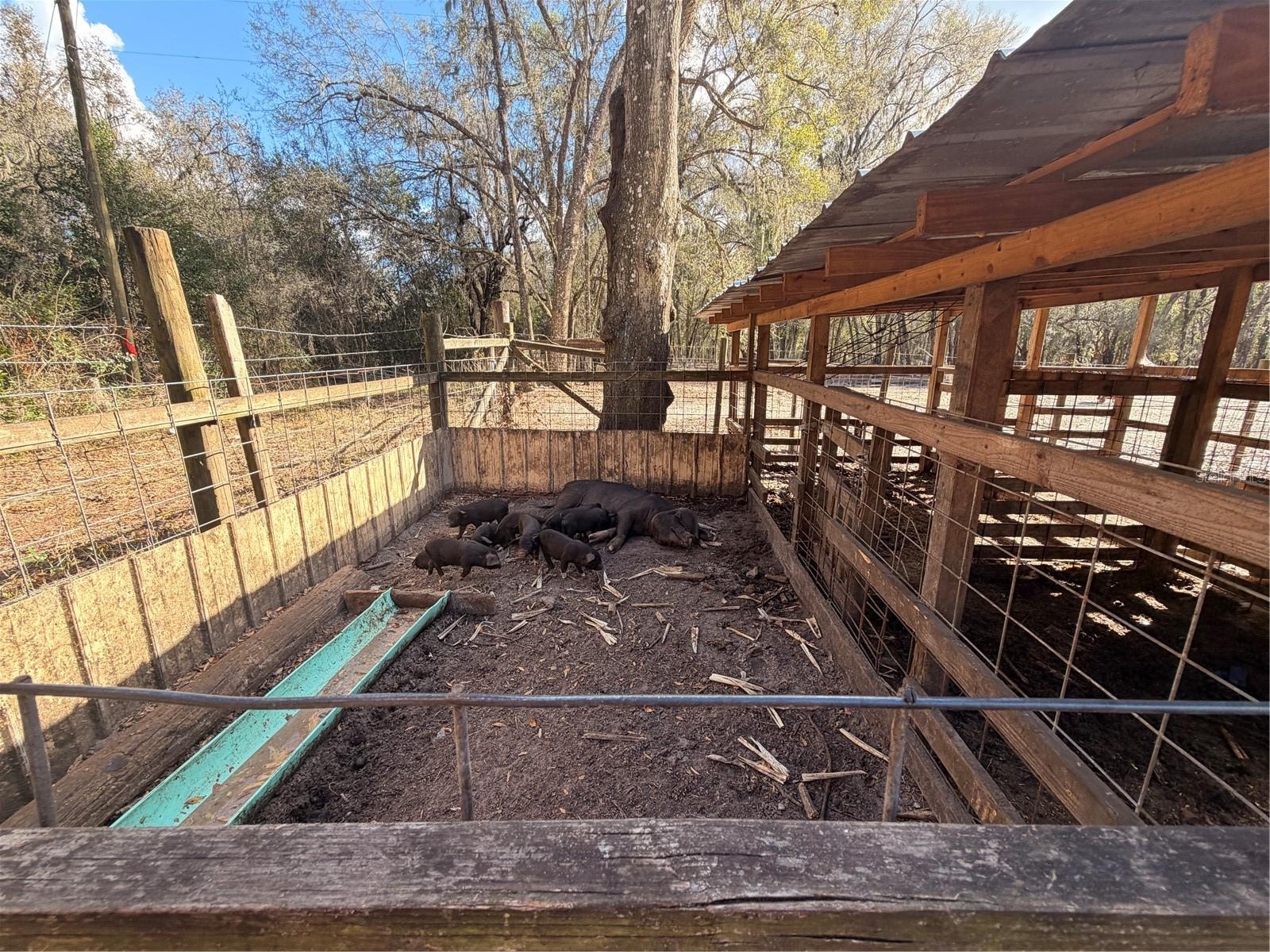 Listing photo id 53 for 25408 Oneal Road