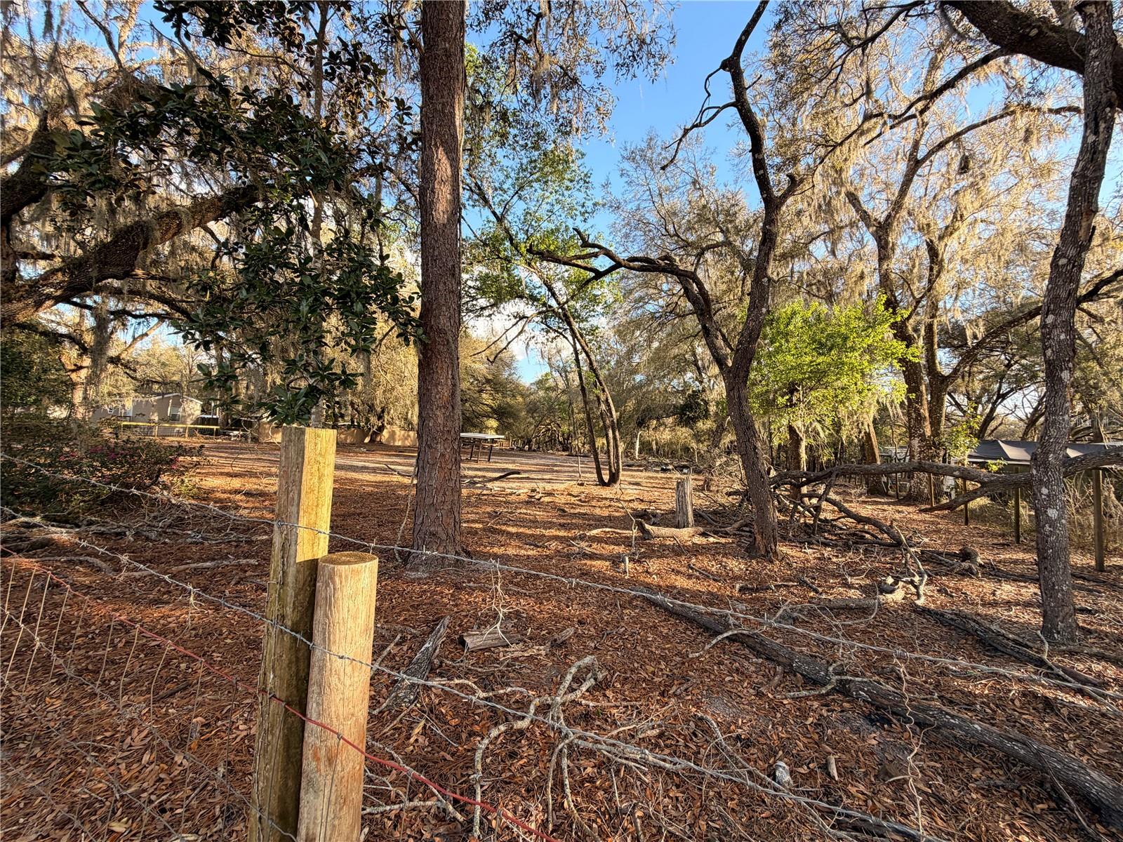 Listing photo id 73 for 25408 Oneal Road