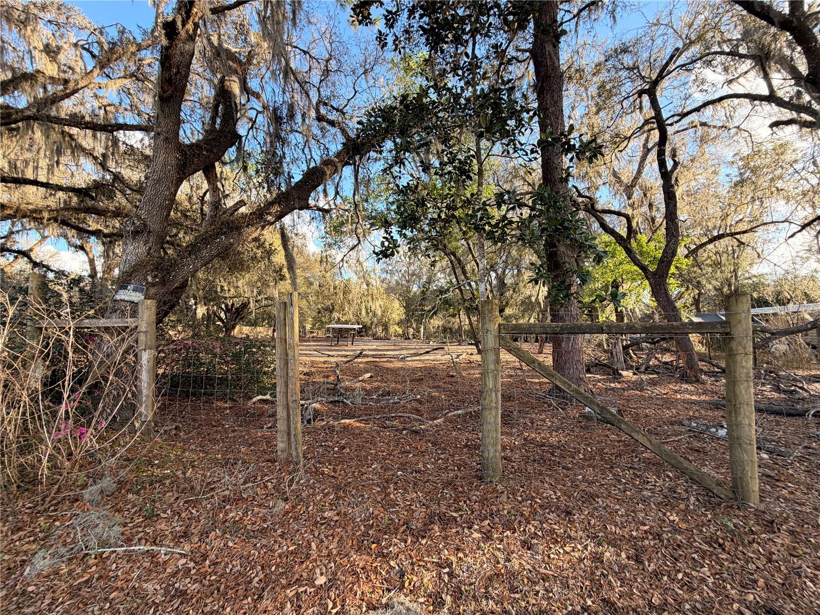 Listing photo id 74 for 25408 Oneal Road