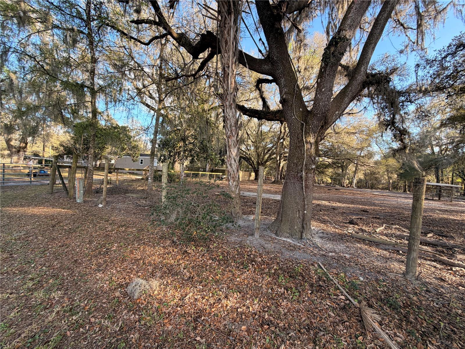 Listing photo id 76 for 25408 Oneal Road