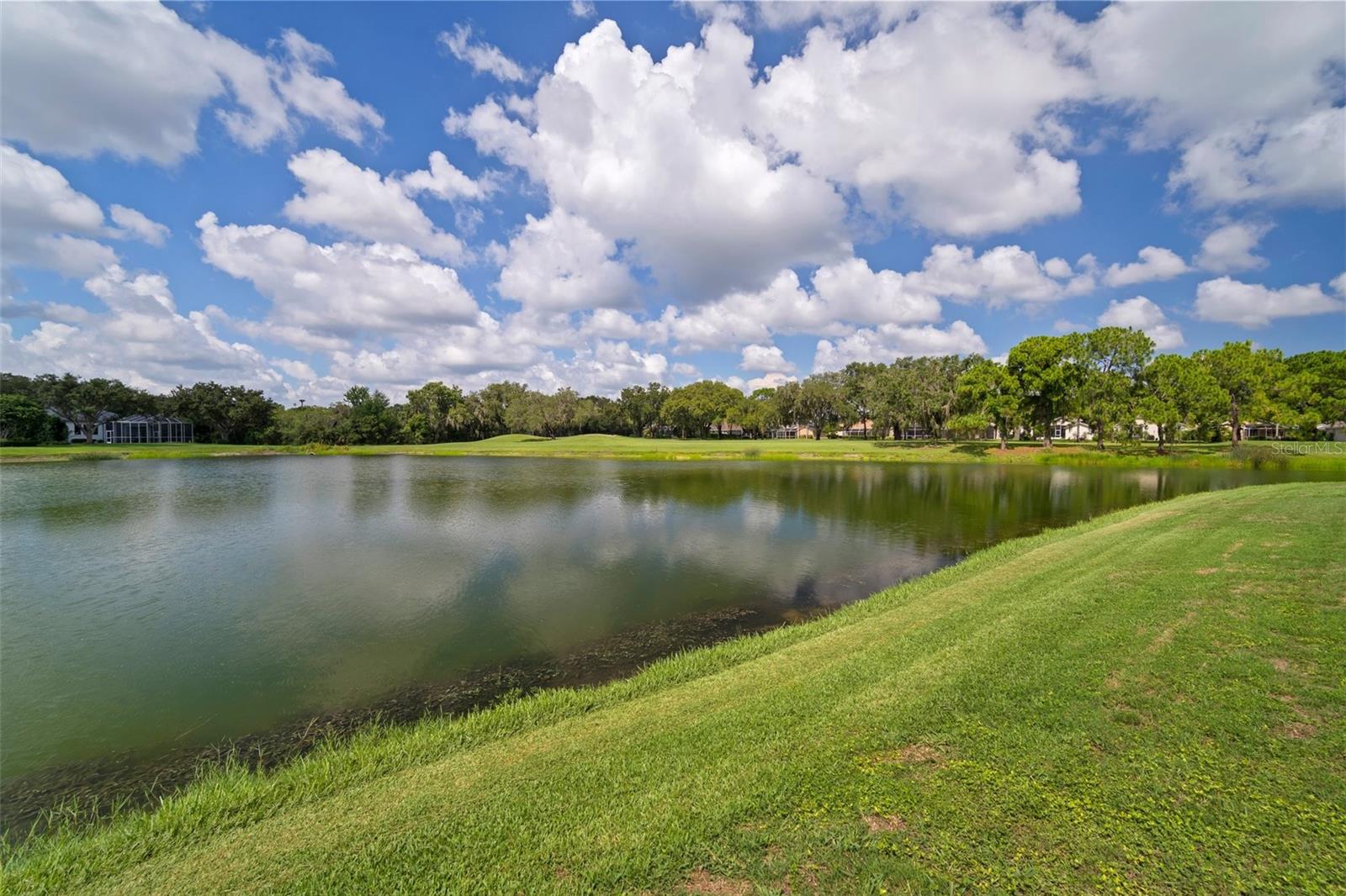 Image 63 of 83 For 3302 Cypress Landing Drive