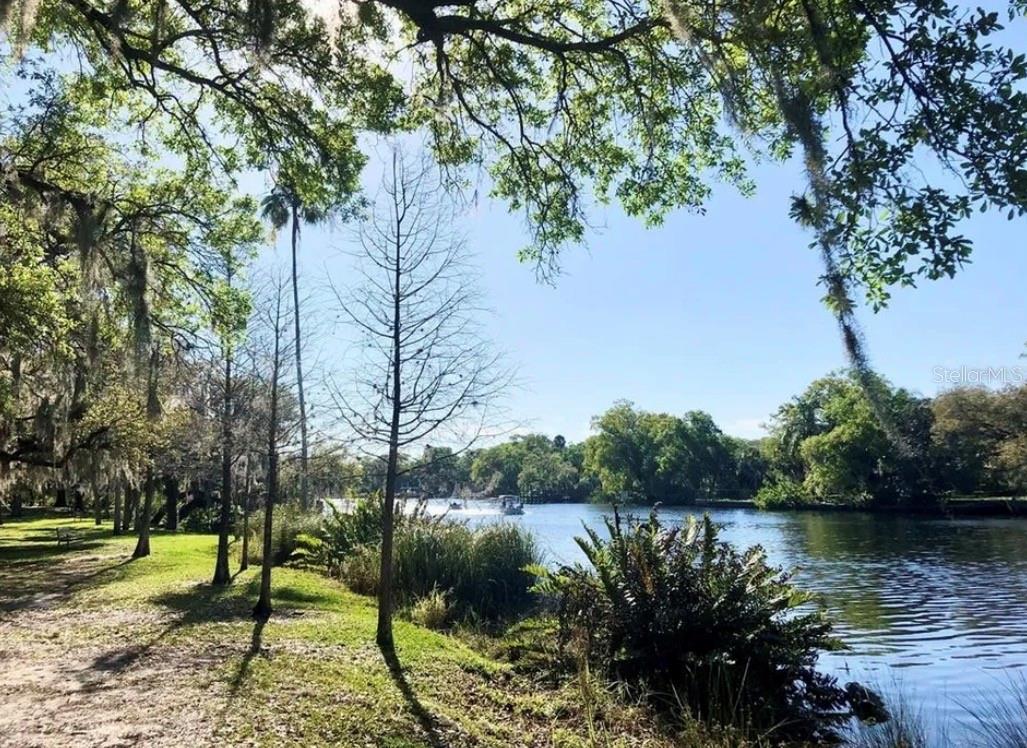 Listing photo id 31 for 236 North Street