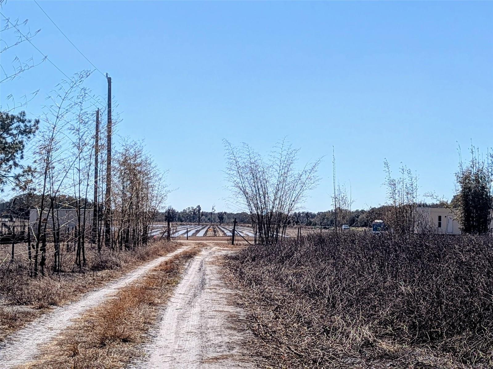 Image 11 of 22 For 46683 Peeples Lane