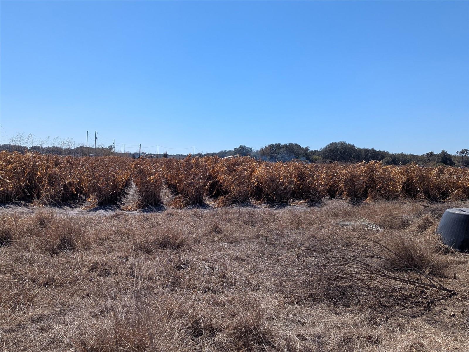 Image 13 of 22 For 46683 Peeples Lane