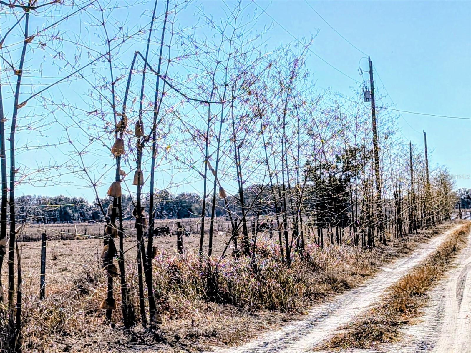 Image 16 of 22 For 46683 Peeples Lane