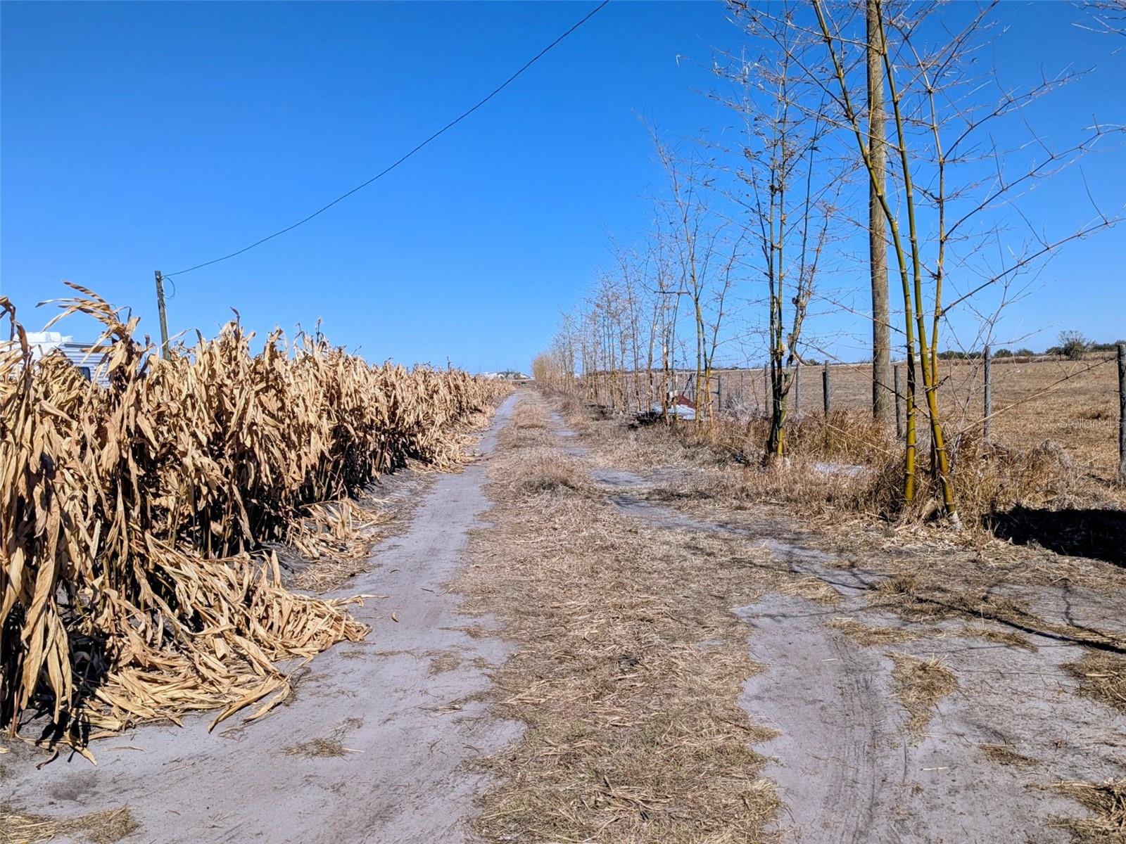 Image 17 of 22 For 46683 Peeples Lane