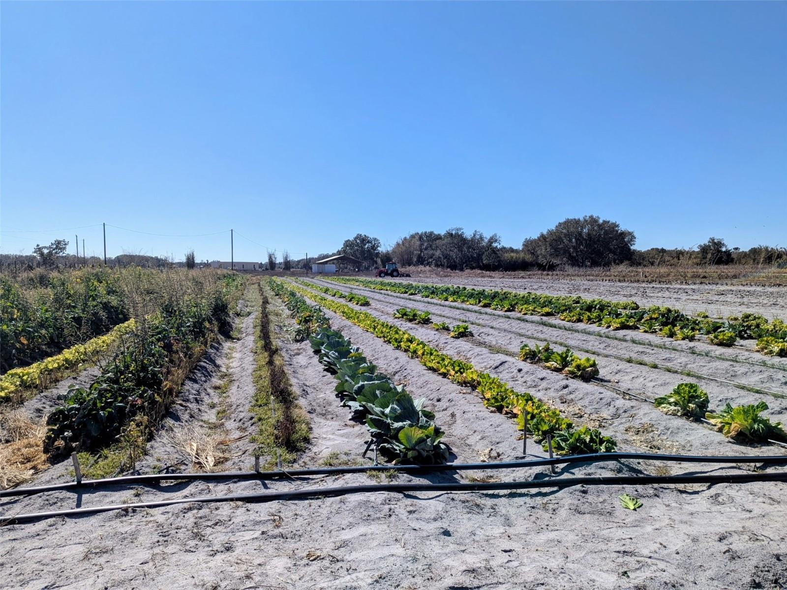 Image 4 of 22 For 46683 Peeples Lane