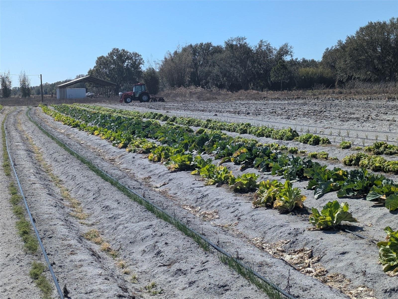 Image 5 of 22 For 46683 Peeples Lane