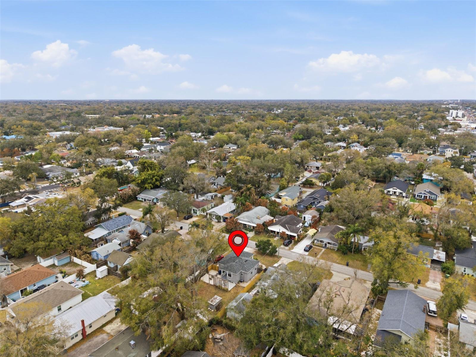 Image 39 of 46 For 110 Cayuga Street