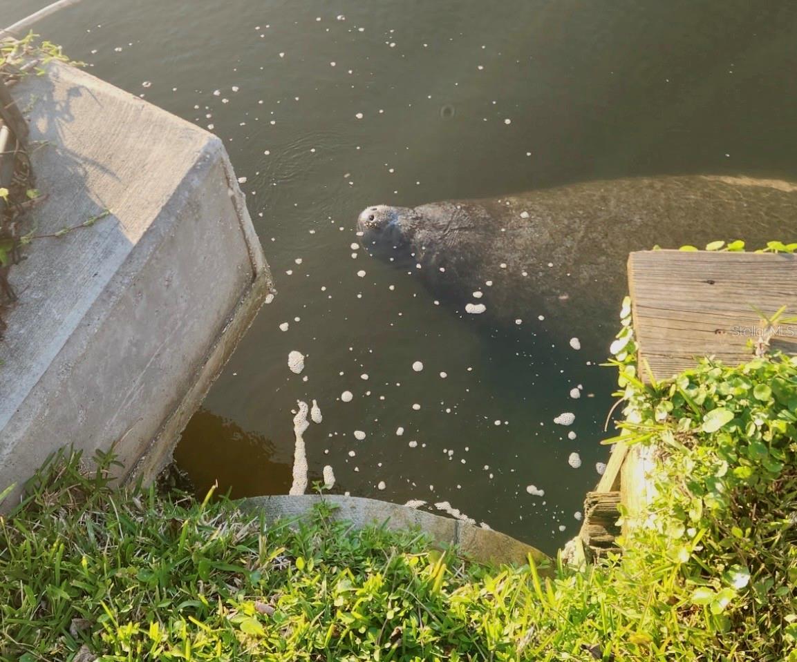 Image 46 of 69 For 632 Shore Drive