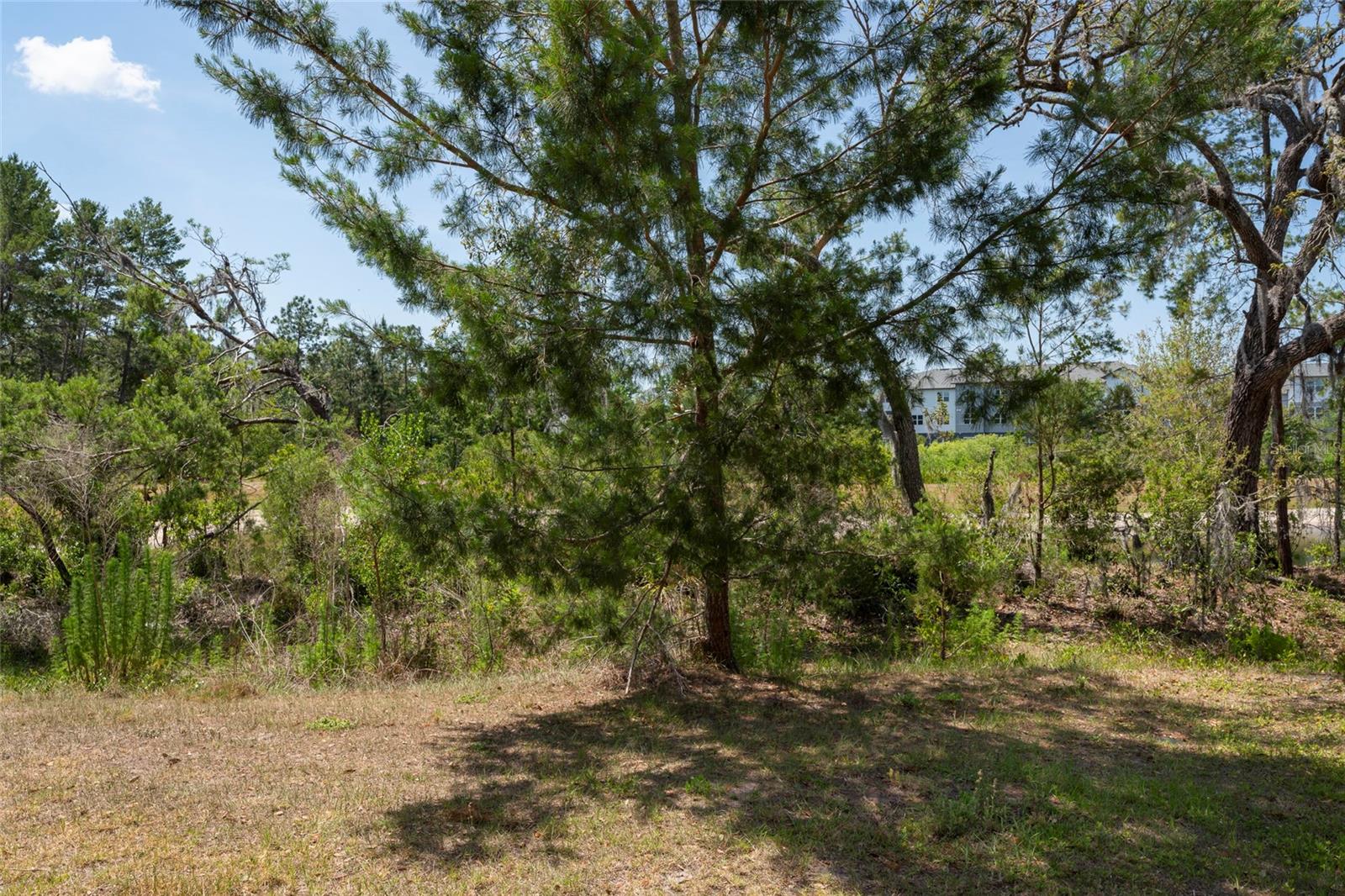 Image 6 of 31 For 11704 Castine Street