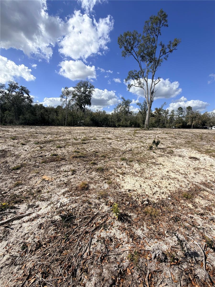 Image 8 of 11 For 163 159th Avenue