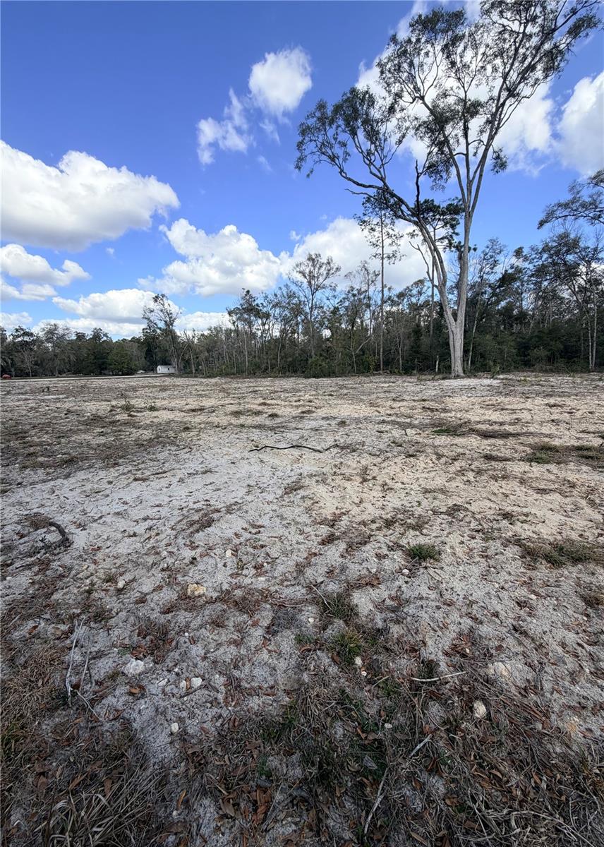 Image 9 of 11 For 163 159th Avenue