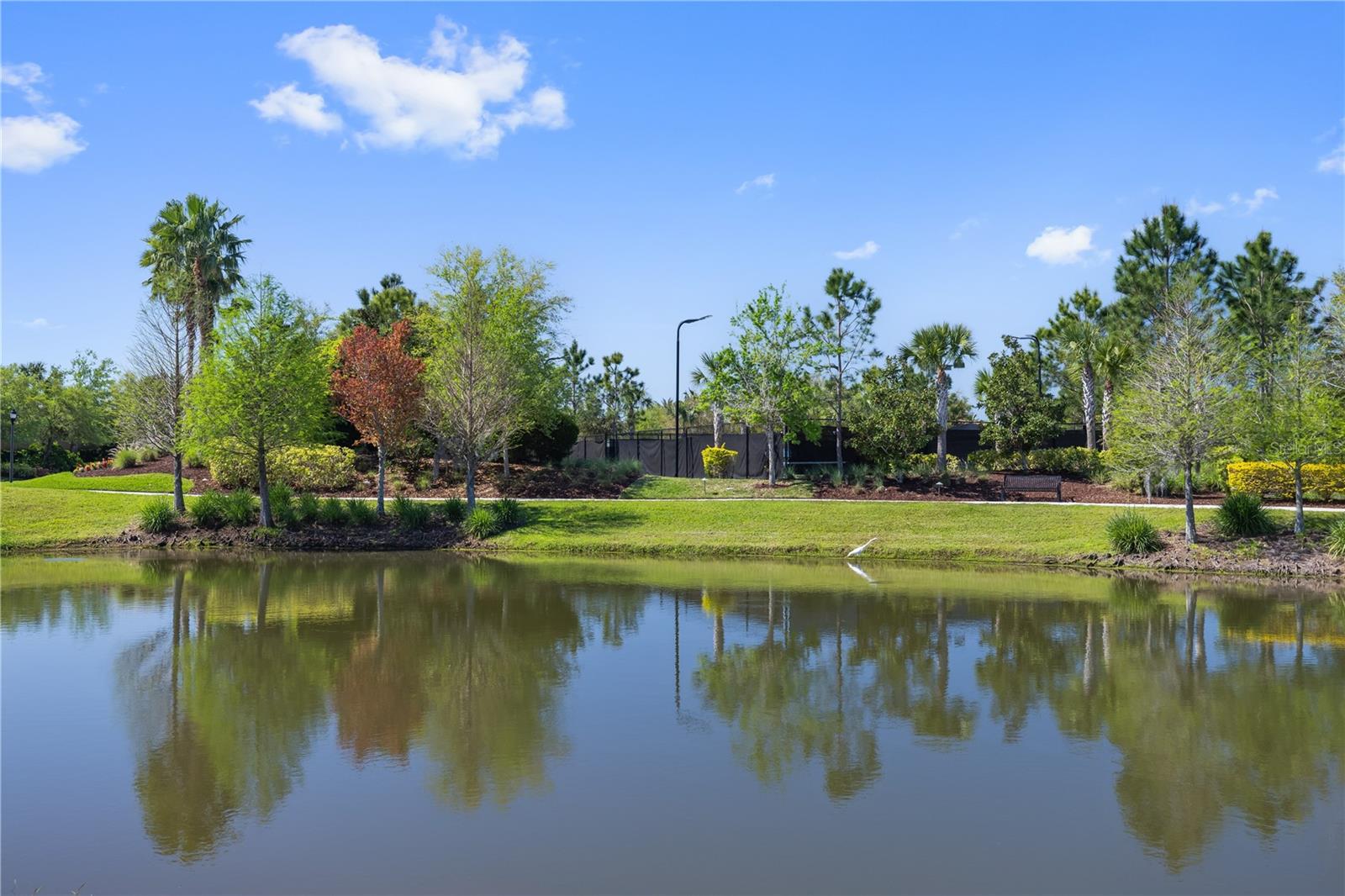 Image 36 of 48 For 11414 Juglans Drive